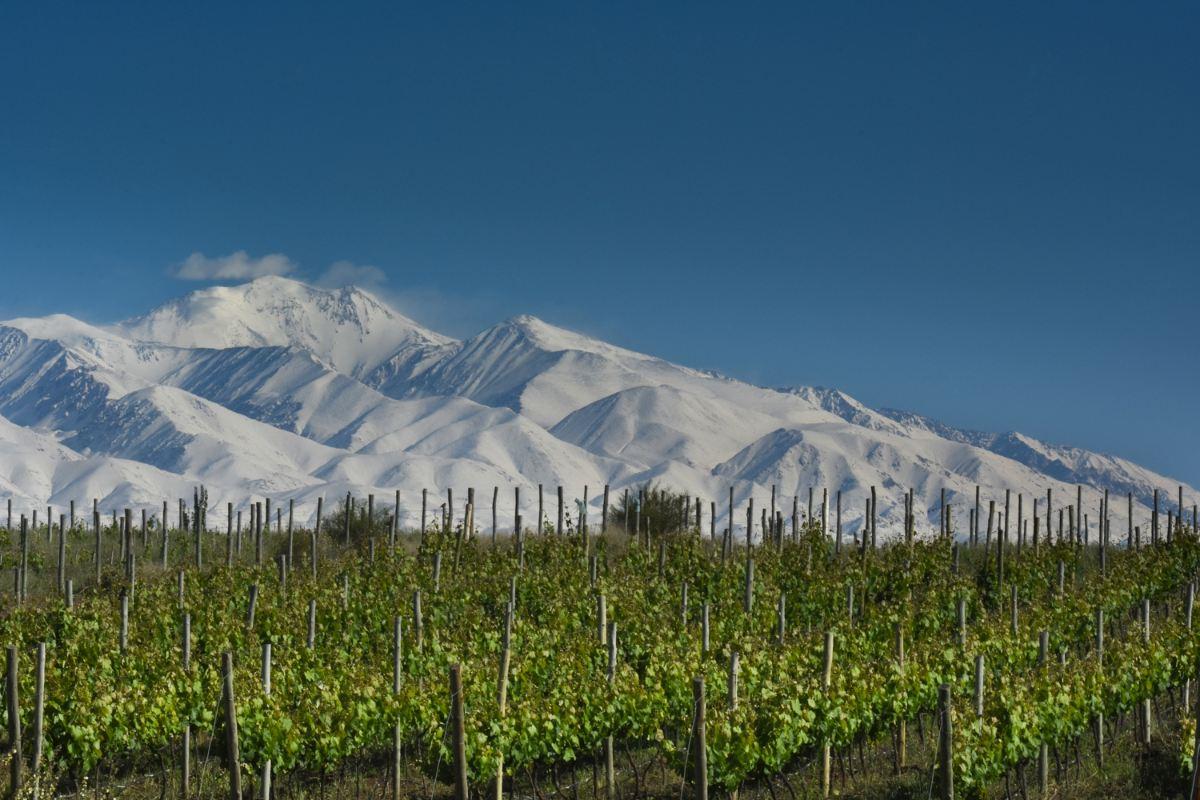 Ten Years that Changed Argentine Wine